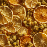 Organic Herbal Shampoo